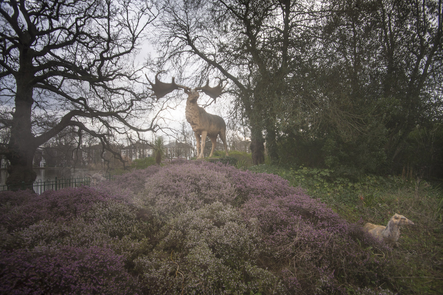 Walking The Capital Ring, a circular walk  of some 78 miles around inner and central London