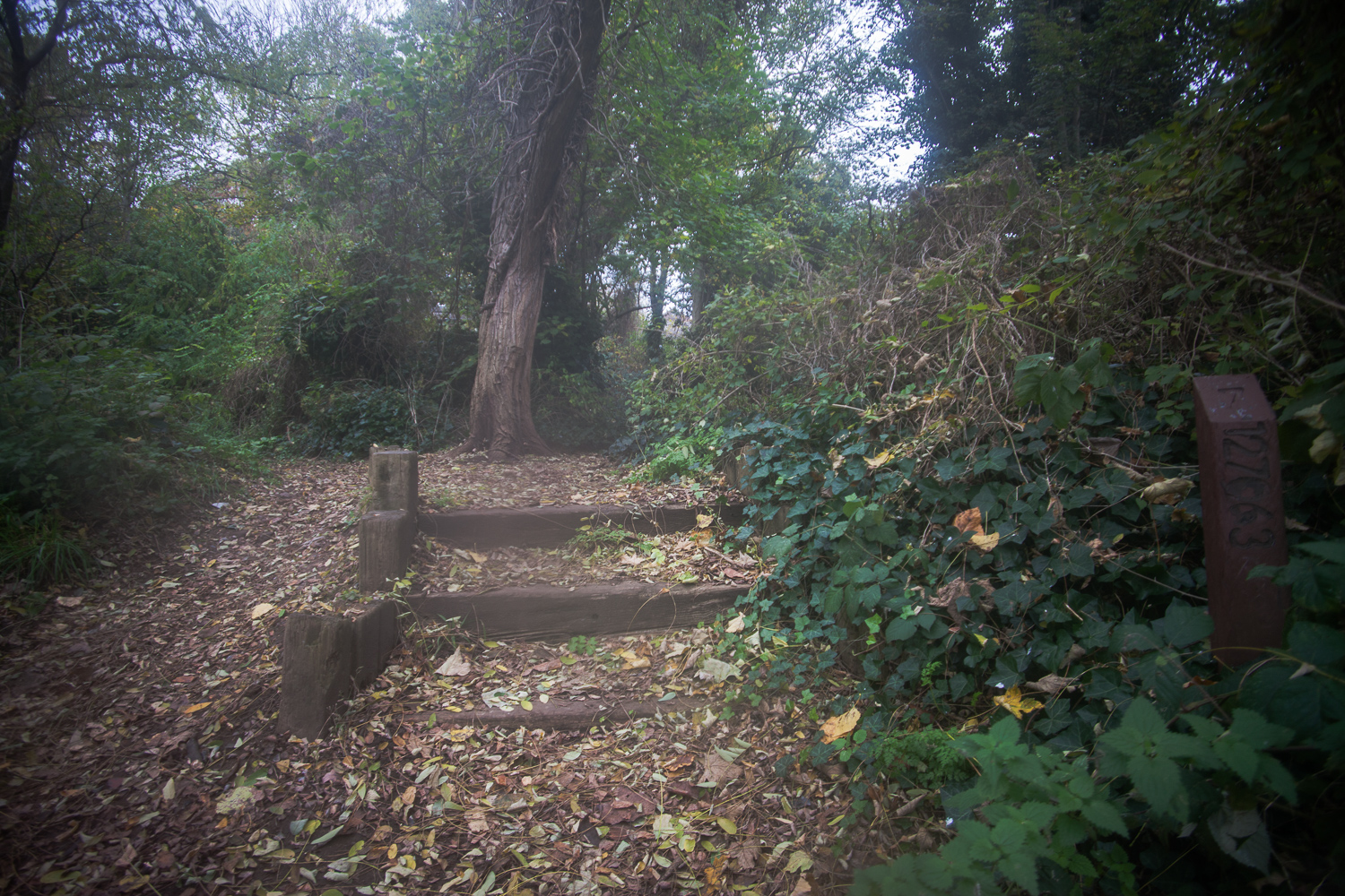 Snicket: the 121 postcodes of the Inner London Postal District