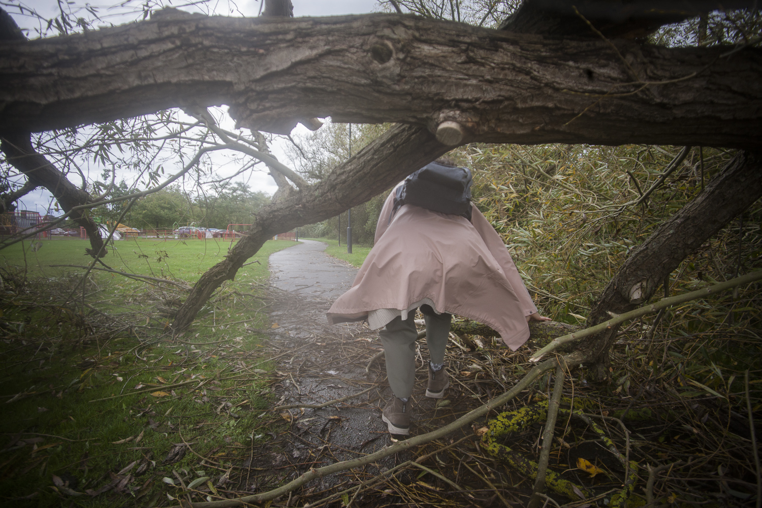 Walking The Capital Ring, a circular walk  of some 78 miles around inner and central London